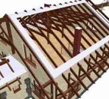 Proiecte de acoperiș: specificați toate nuanțele