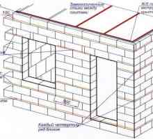 Blocuri de calcul și materiale de placare pentru a construi o casă