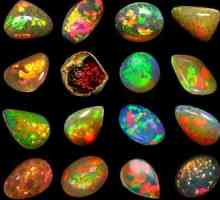 Soiuri de opal australian