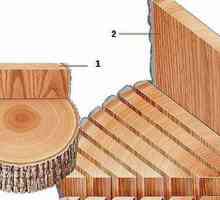 Diferite tipuri de lemn: domeniul lor de aplicare
