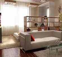 Elaborare design de o cameră de zi cu dormitor