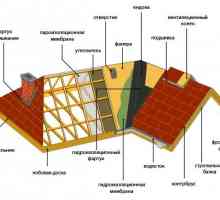 Reconstrucția acoperișului: să definească domeniul de activitate