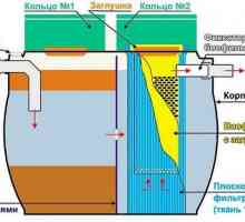 Ghid de instalare fosă septică