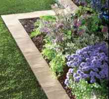 Grădină porțiune bordurilor: pista înnobila și flowerbeds