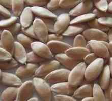 Auto-preparare de semințe de castravete pentru plantare