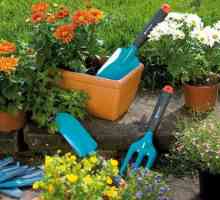 Cele mai utile instrumente și echipamente de grădină pentru a lucra pe site-ul