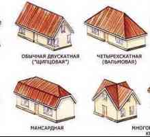 Principalele tipuri de acoperișuri