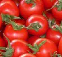 Secretele de randamente ridicate de tomate