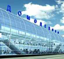 Angajații „Domodedovo“ își pierd garaje