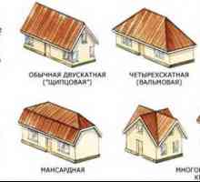 Acoperiș în formă și acoperișul clădirilor din lemn