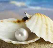 Proprietăți de perle albe