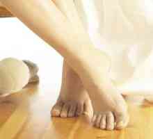 Podea caldă sub laminat - face casa ta confortabilă
