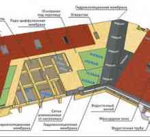 Întrebare dificilă de alegere de materiale pentru acoperișuri