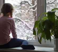 Instalare de ferestre din plastic în timpul iernii: puncte importante și caracteristici ale…