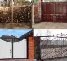 Opțiuni pentru poarta unei case private