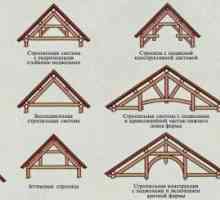 Tipuri și scopul sistemelor de acoperiș