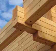 Tipuri și domeniul de aplicare grinzi de lemn