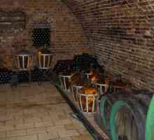 Crama - un loc preferat in casa pentru un colector de vin