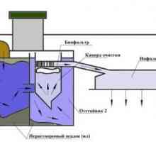 Selectarea și instalarea de fose septice
