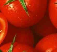 Cultivarea o recoltă bună de tomate