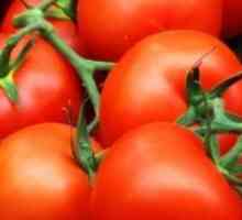 Cultivarea tomate pe mitlayderu