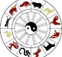 Semne ale zodiacului pe Feng Shui