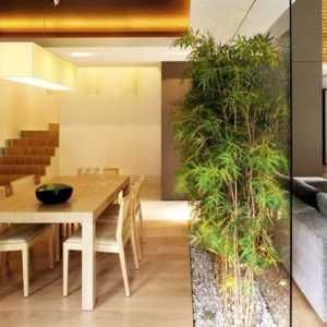 Bamboo Grove în apartamentul tău
