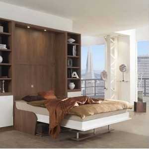 Design interior combinat cu un dormitor living