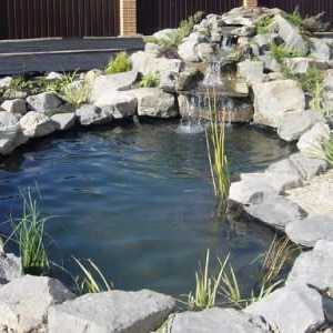 O combinație rafinat de apă și grădina de piatră peisaj