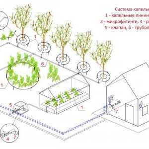 Eficacitatea udare automat grădină cu propriile sale mâini