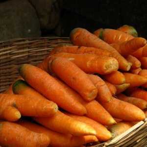 Cum se păstrează morcovi?