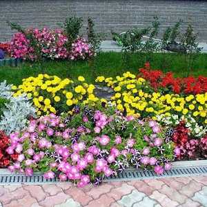 Paturi de flori și grădini de flori din țară: în cazul în care pentru a începe