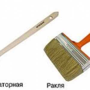 Paintbrush: tipuri, de îngrijire și de formare