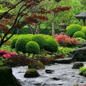 Decorațiuni de grădină în stil japonez