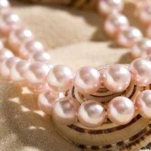 Caracteristici roz perle