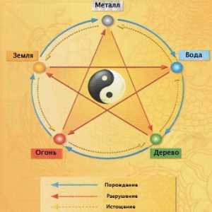 Cele cinci elemente Feng Shui