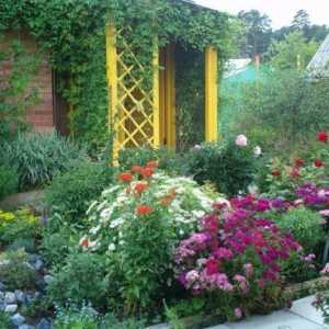 Reguli de înregistrare a unei grădini de flori: sfaturi de la designeri