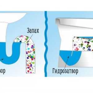 Cum să facă față cu problema mirosurilor în baie de la chiuveta