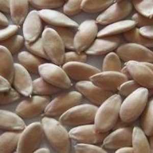 Auto-preparare de semințe de castravete pentru plantare