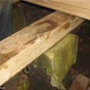 Umezeala de sub podea de lemn