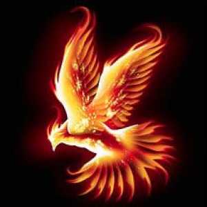 Phoenix Amazing Chineză