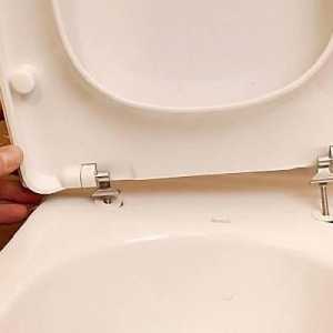 Toaletă: instalarea unui capac