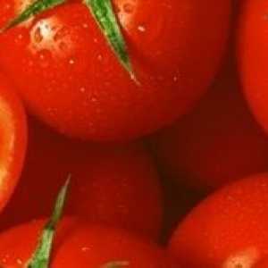 Cultivarea o recoltă bună de tomate