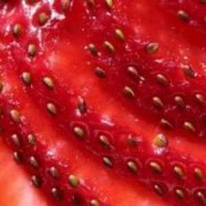 Cultivarea căpșuni din semințe de
