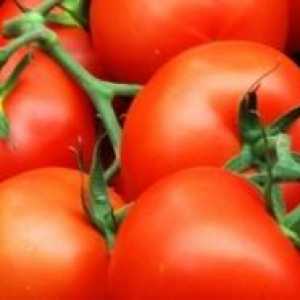 Cultivarea tomate pe mitlayderu